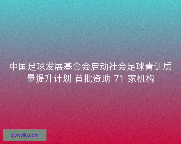 中国足球发展基金会启动社会足球青训质量提升计划 首批资助 71 家机构